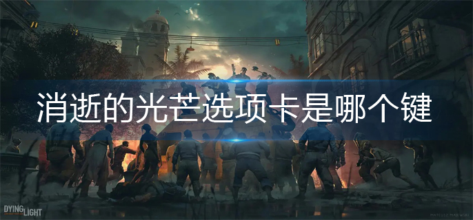 消逝的光芒选项卡按键介绍